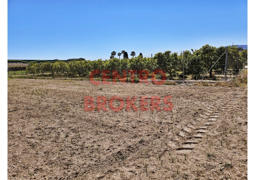 Ziemia rolna pod inwestycję w Hiszpanii, w Cullera
